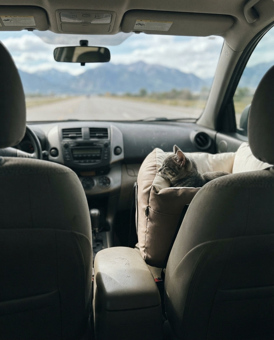Asiento de auto para perro con correa de seguridad